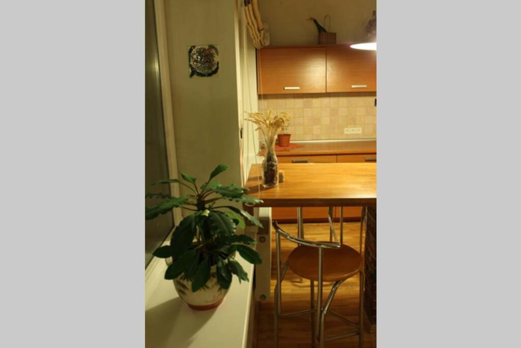 Penthouse Apartment With Great Panoramic City View VNO Exteriör bild