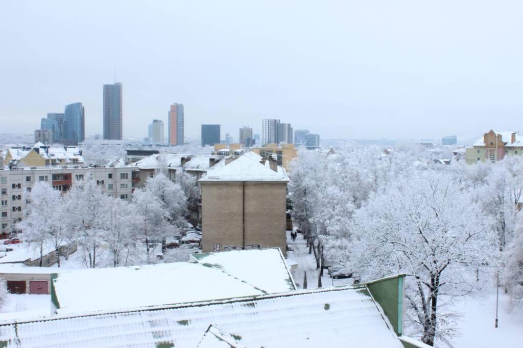 Penthouse Apartment With Great Panoramic City View VNO Exteriör bild
