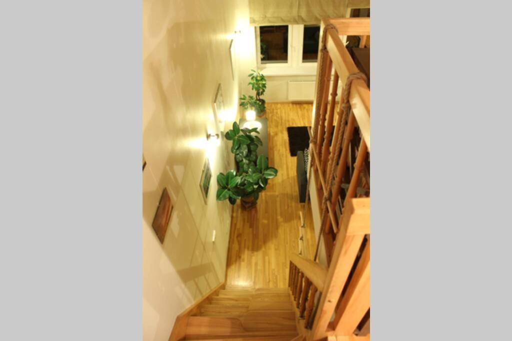 Penthouse Apartment With Great Panoramic City View VNO Exteriör bild